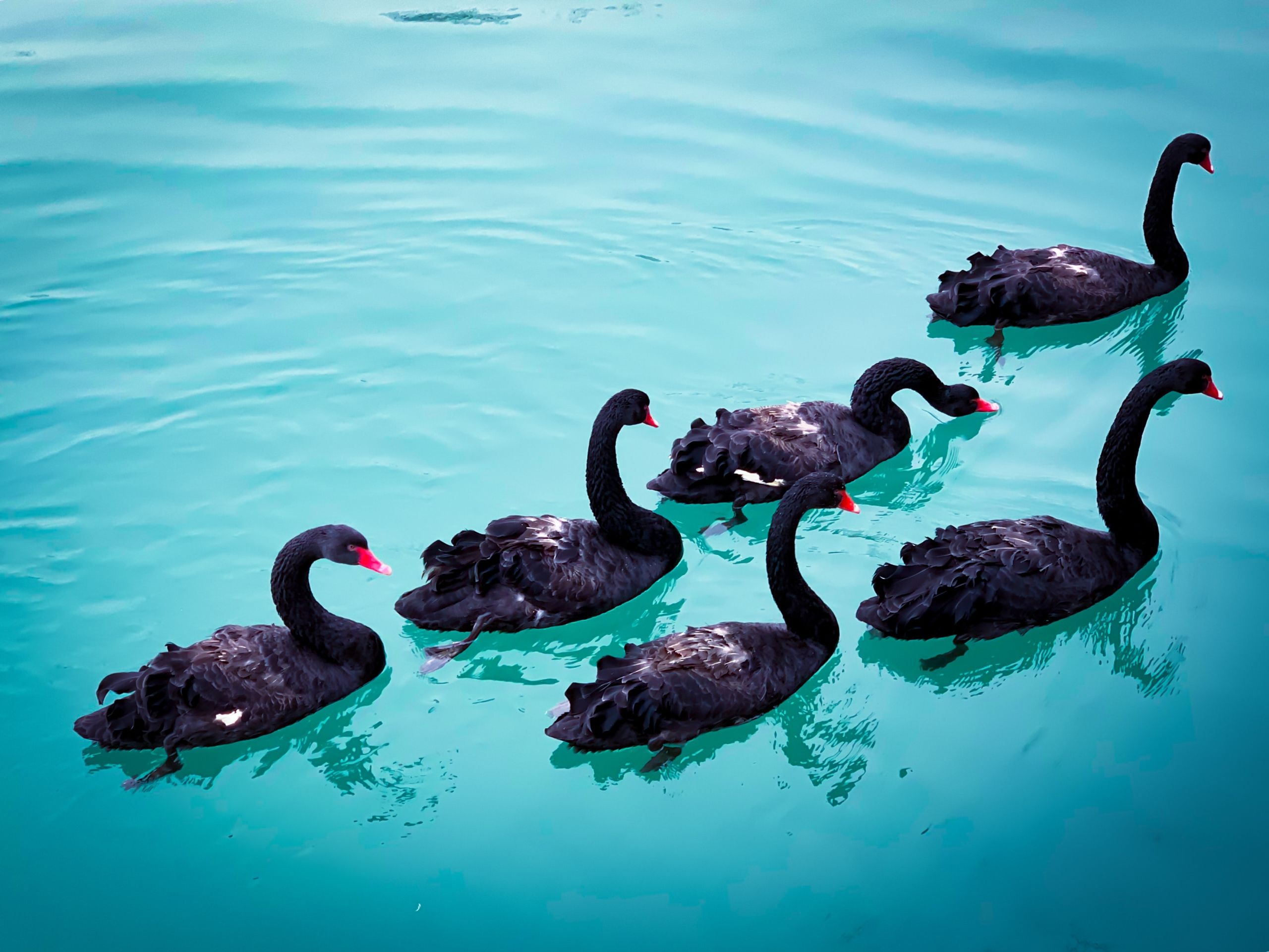 Image by Wang Binhua on Unsplash