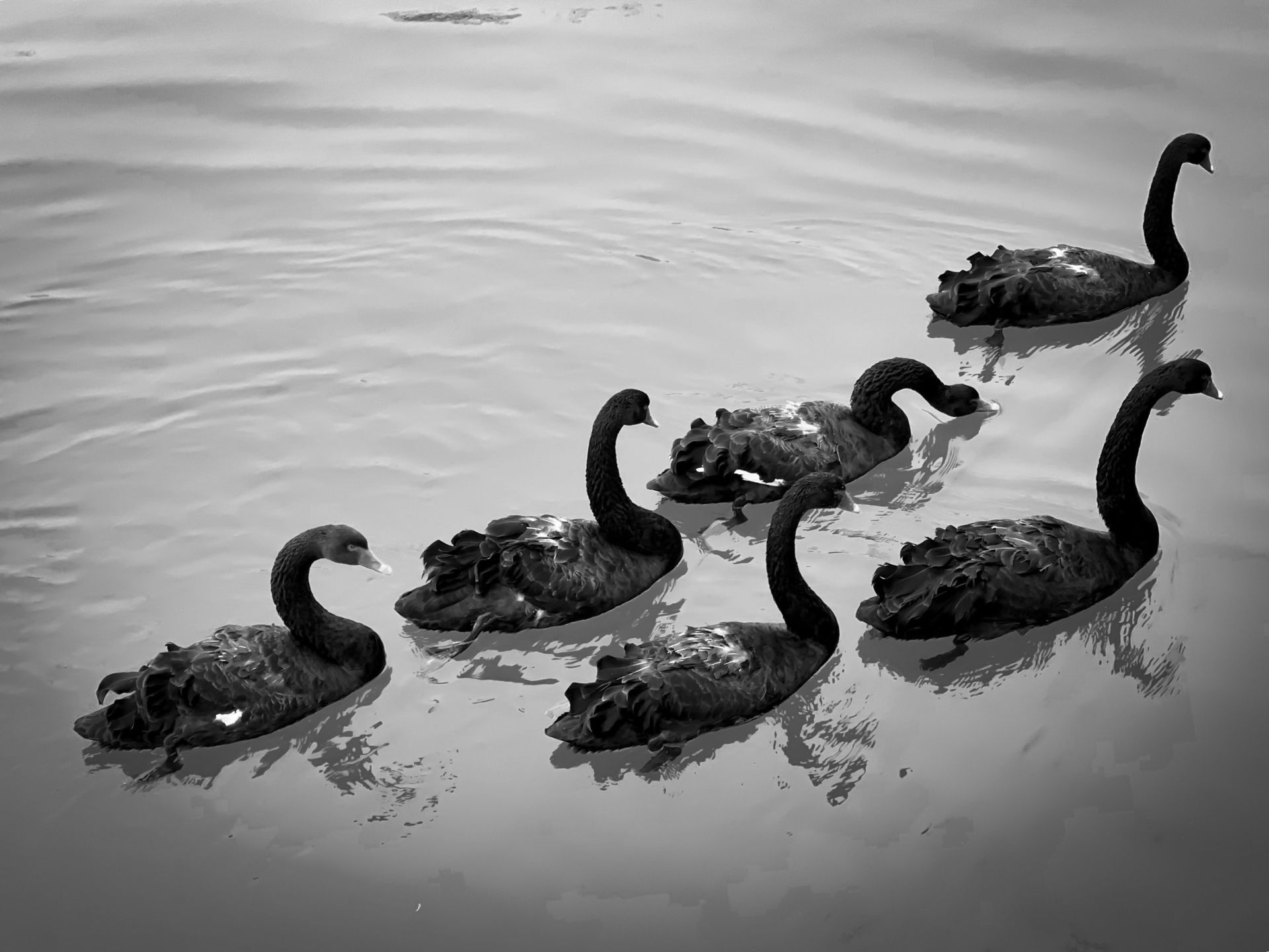 Image by Wang Binhua on Unsplash