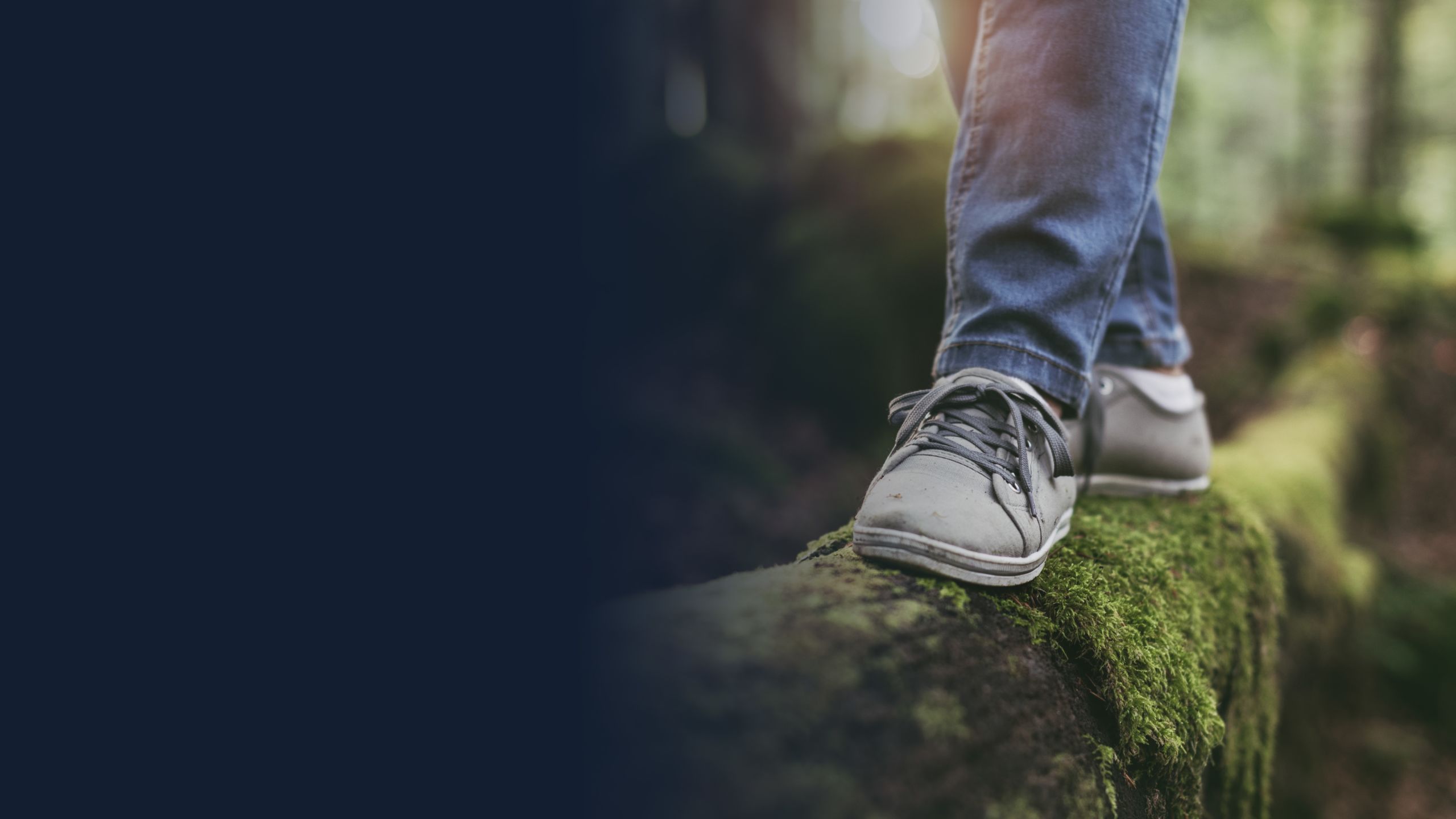 Image of feet on branch; image courtesy of Shutterstock