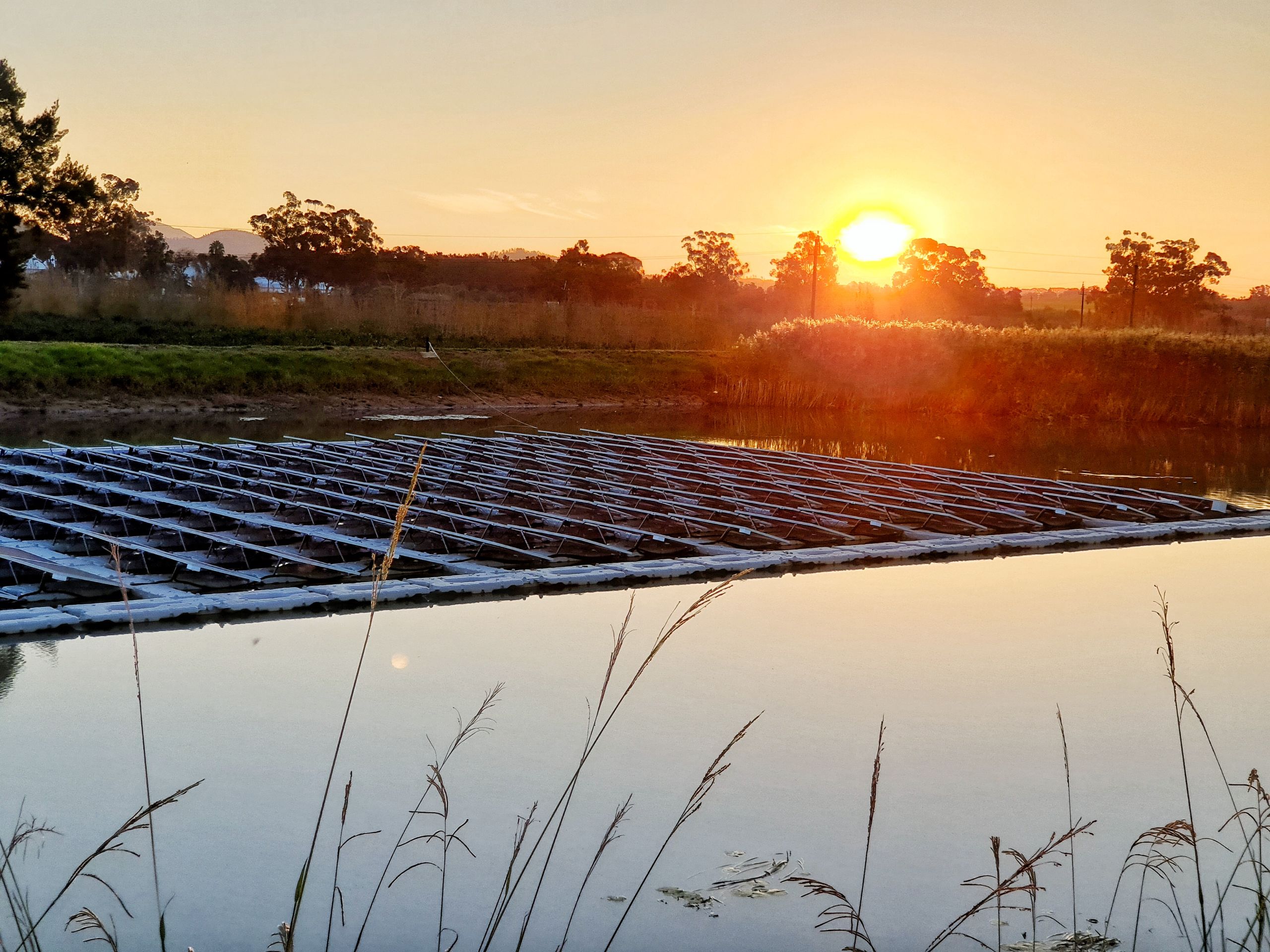 The floating solar project at Marlenique, Simondium; image courtesy of Boplaas 1743