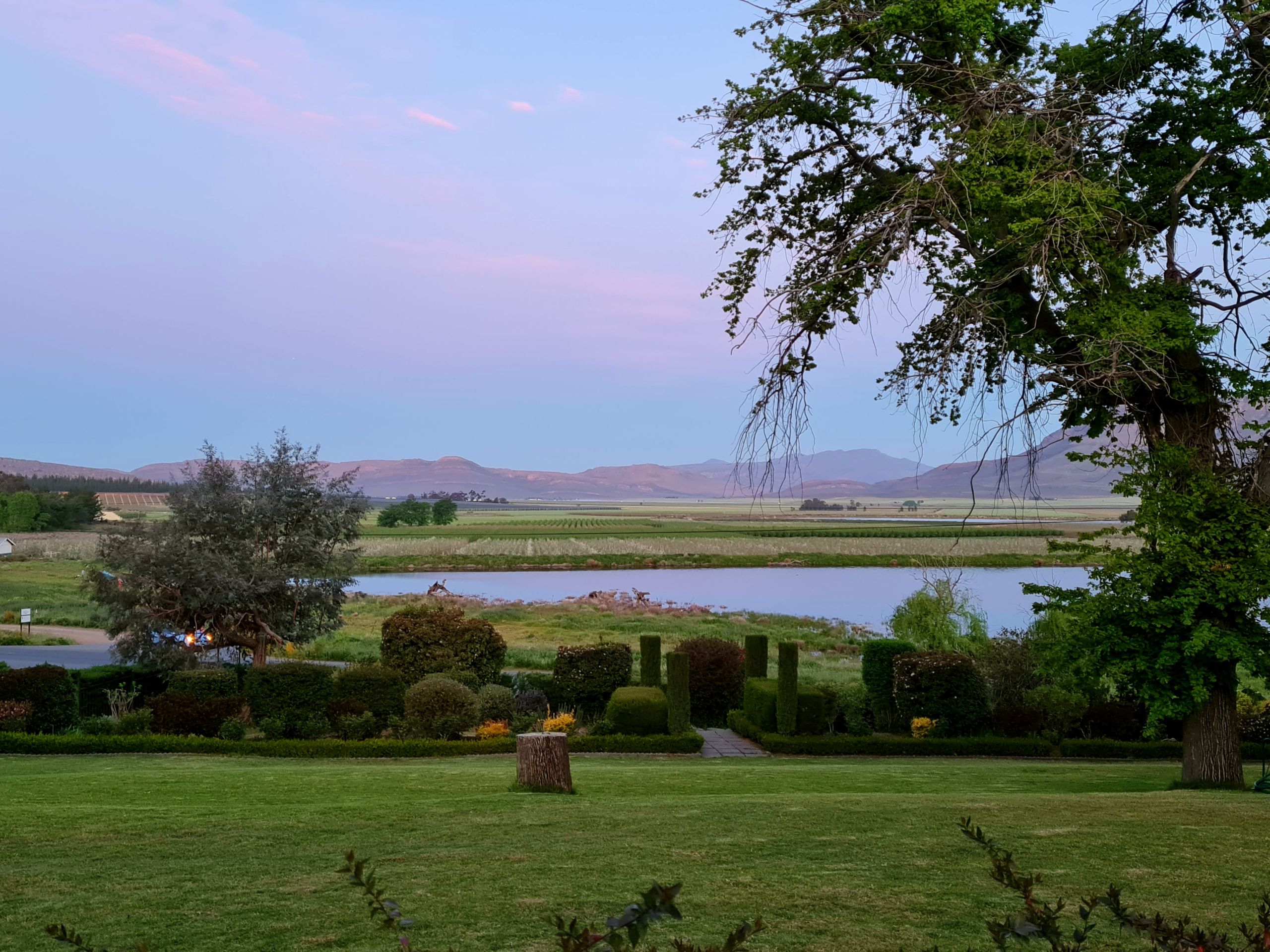 View from Boplaas Homestead overlooking the pears in full bloom; image courtesy of Boplaas 1743