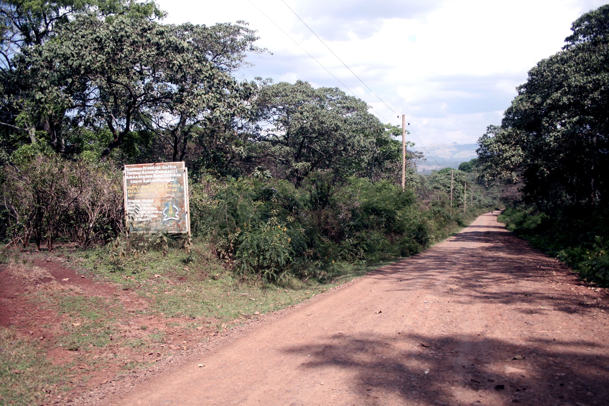 Road construction, courtesy of Oromia Coffee Farmers Cooperative Union