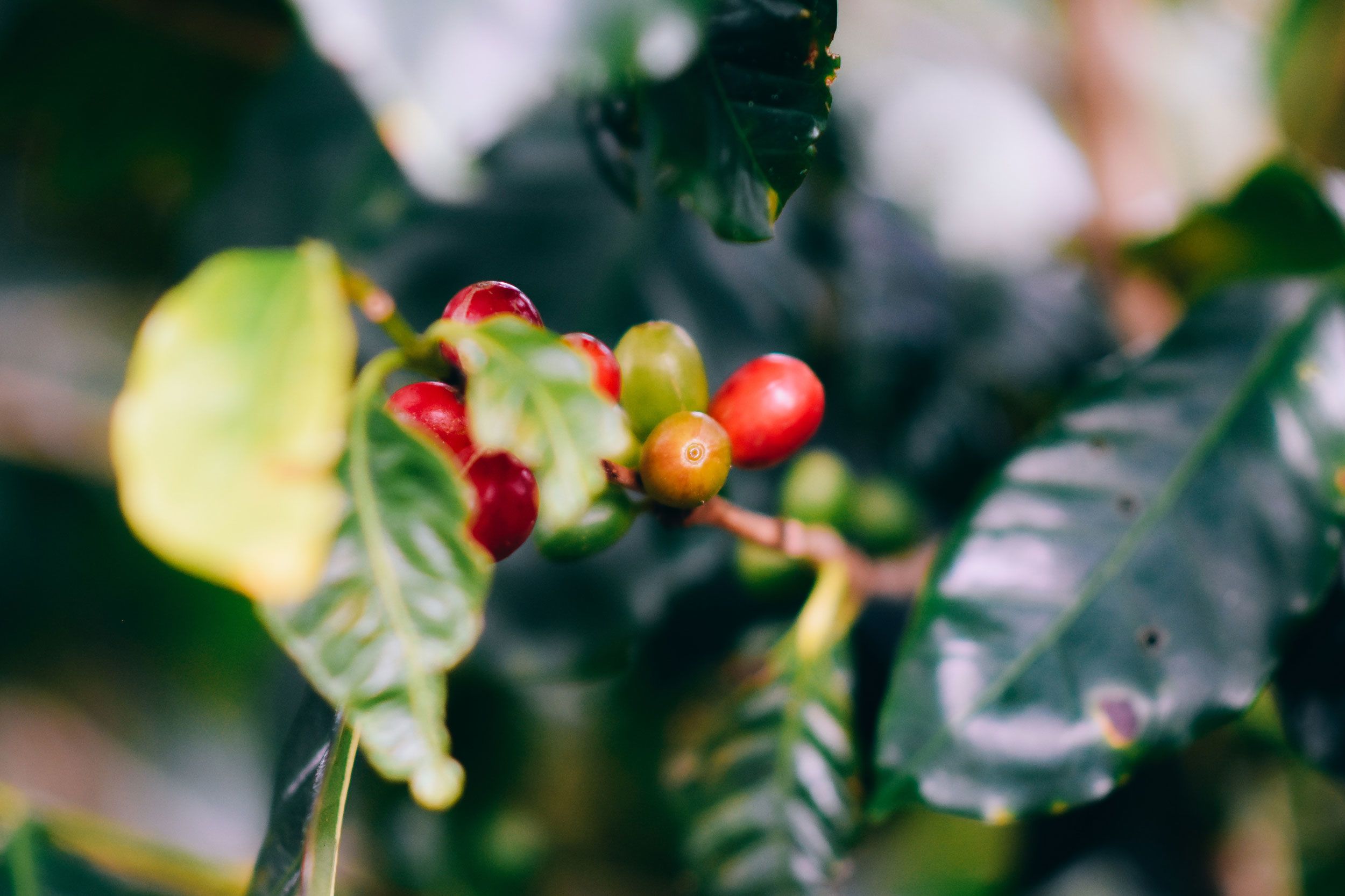 Photo by Chalo-Garcia on Unsplash