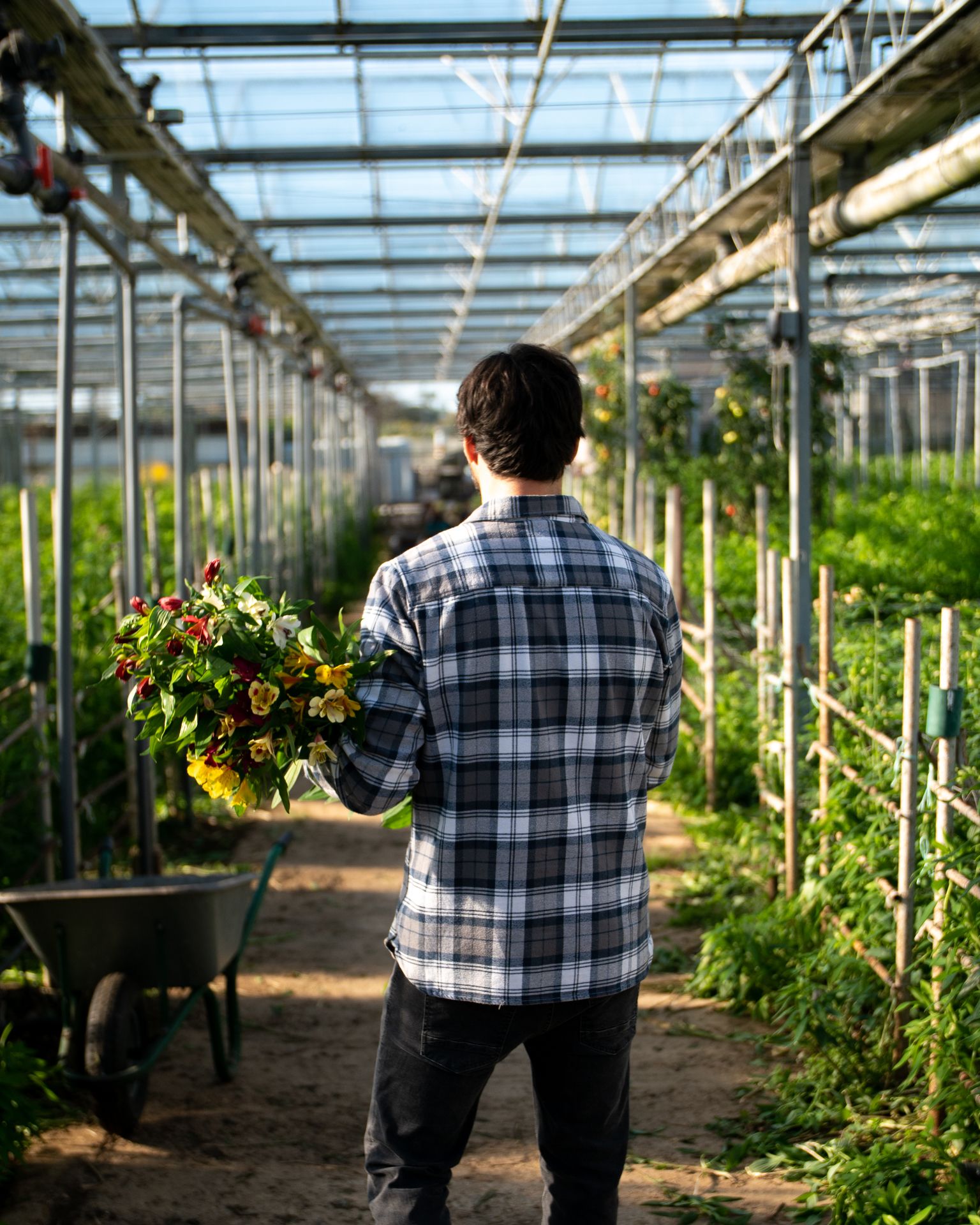 Crosslands Flower Nursery: Rooted in Family Entrepreneurship