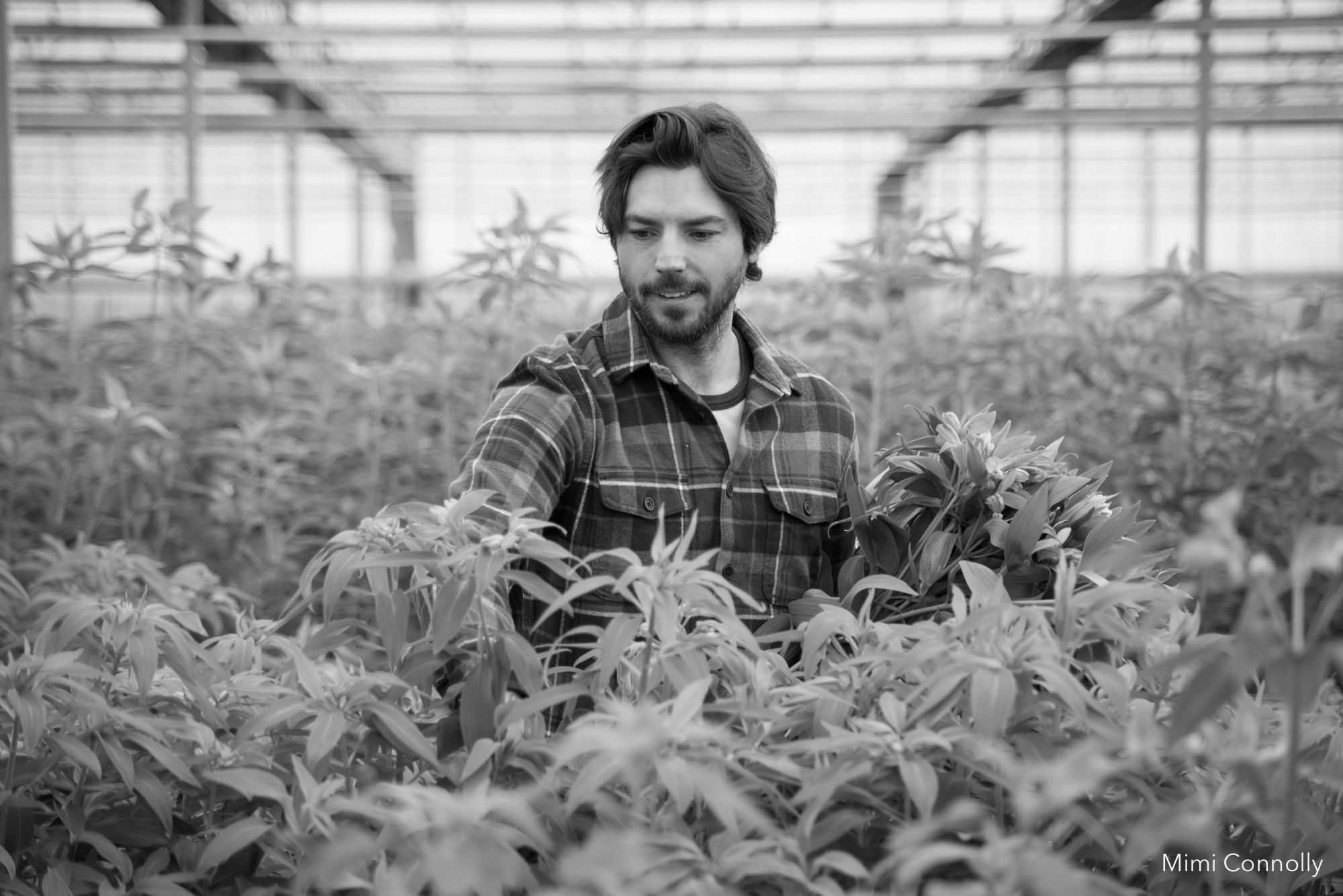 Crosslands Flower Nursery: Rooted in Family Entrepreneurship