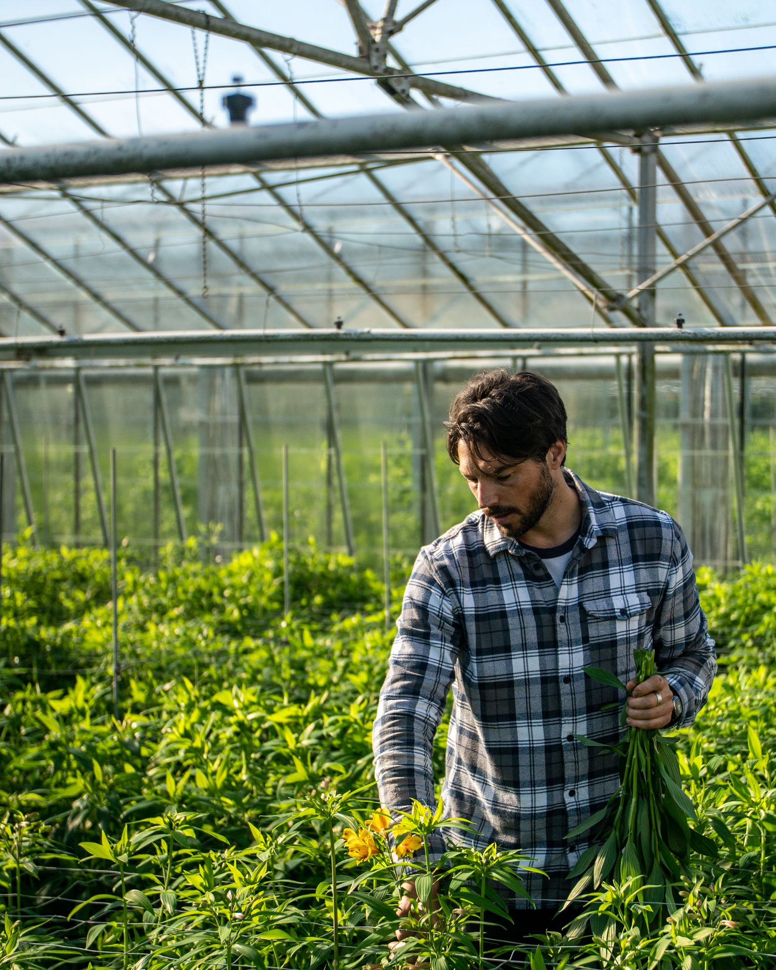 Crosslands Flower Nursery: Rooted in Family Entrepreneurship