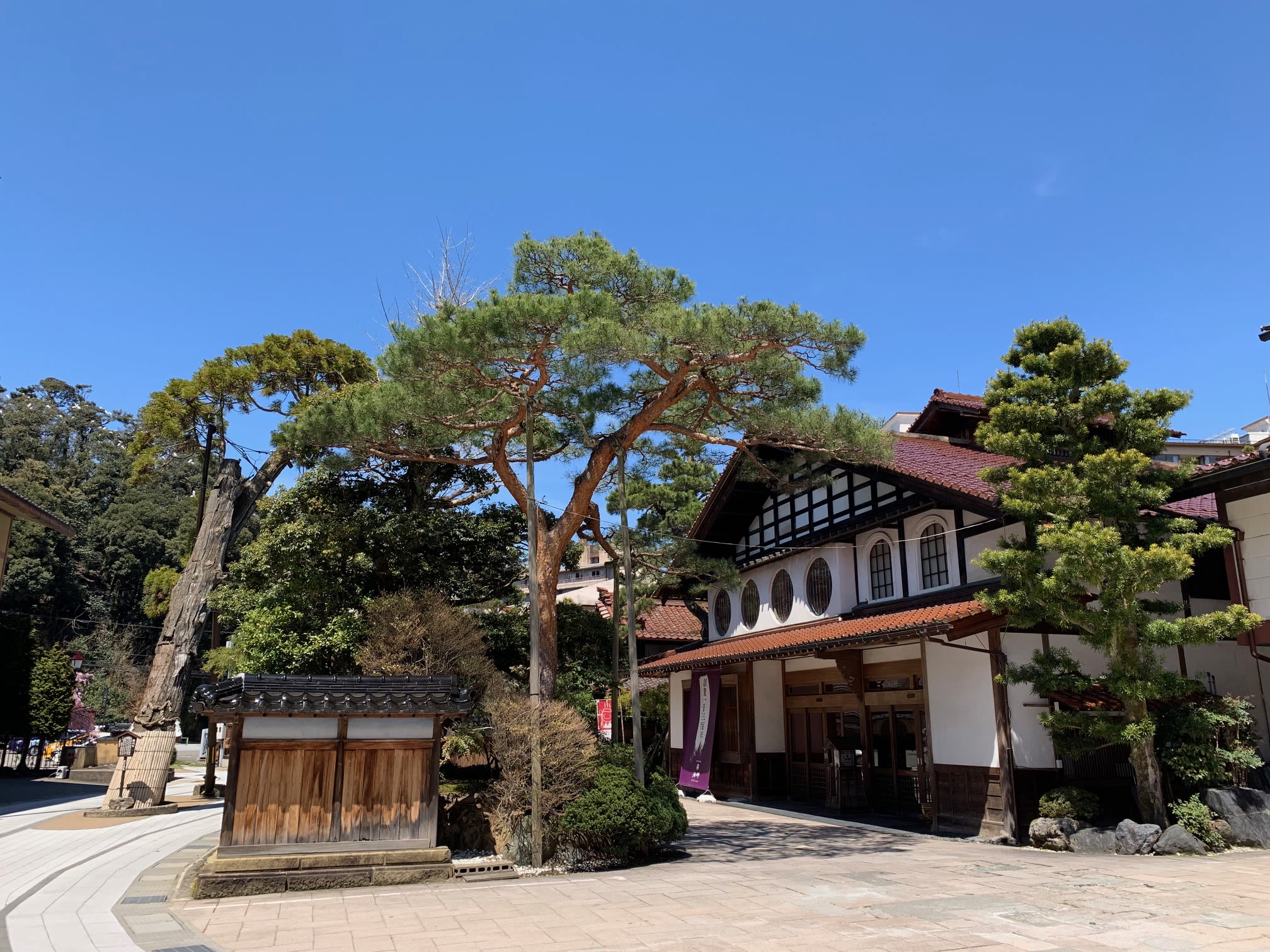 Houshi Ryokan's entrance with 400-year old Sugi sacred cedar tree; image courtesy of Houshi Ryokan