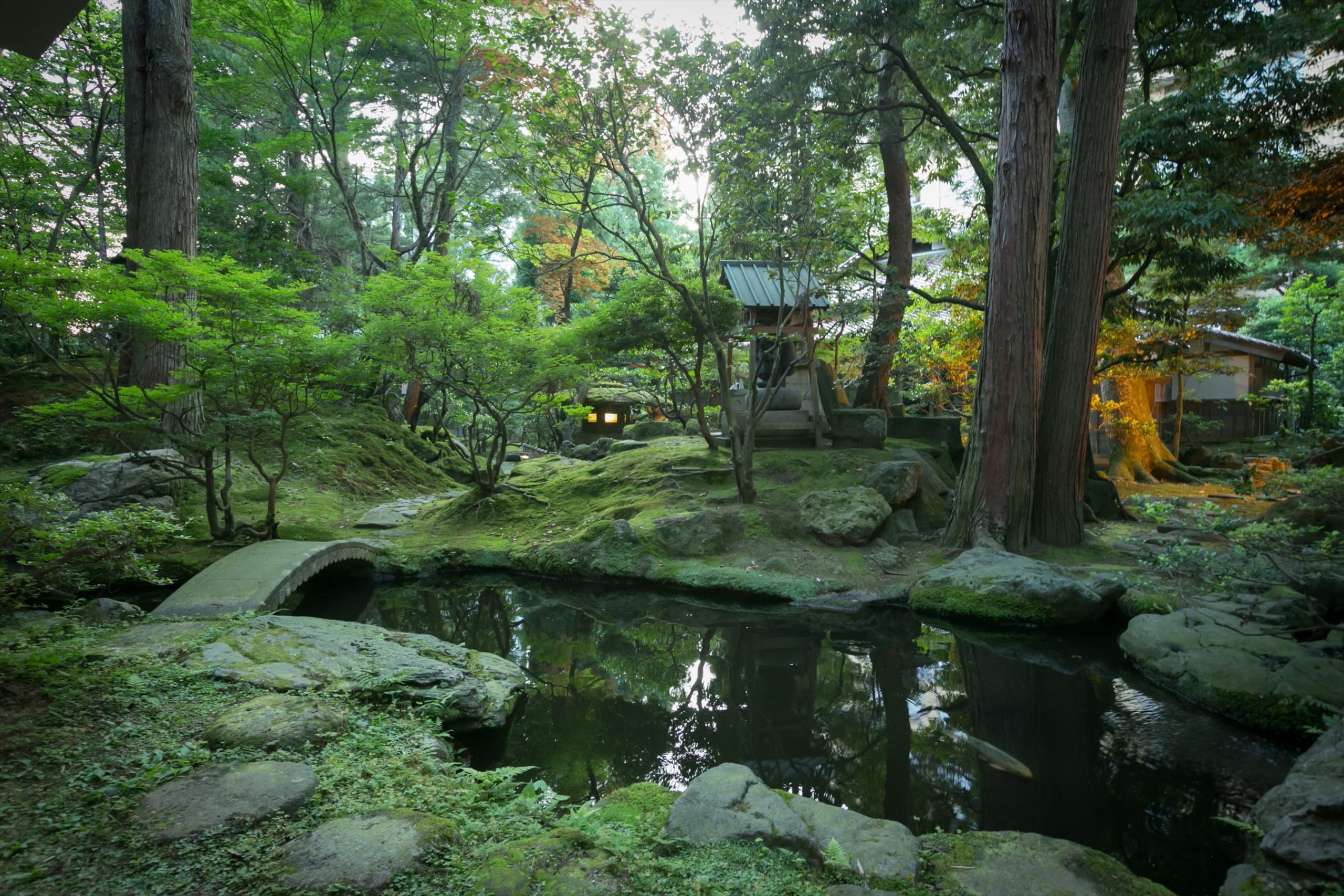 Pond in Houshi Ryokan's Ikezumi strolling garden