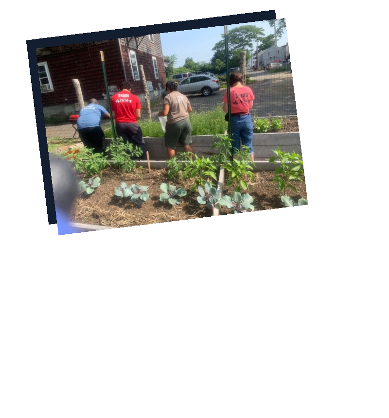 Urban farm volunteers; image courtesy of State Garden