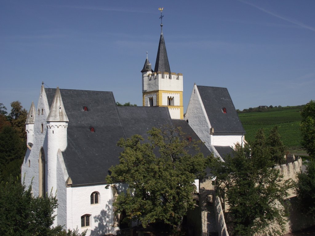 ingelheim-am-rhein